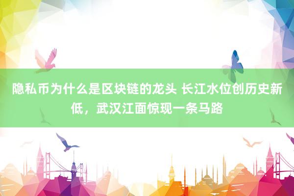 隐私币为什么是区块链的龙头 长江水位创历史新低，武汉江面惊现一条马路